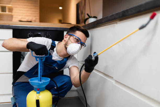 Best Pest Prevention Services  in Rouse, CA