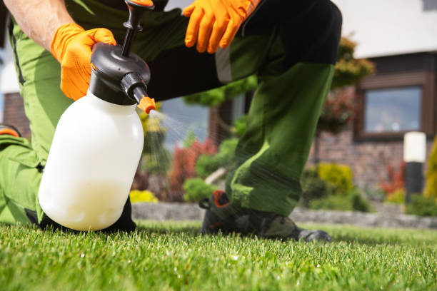 Best Best Pest Control Companies  in Rouse, CA