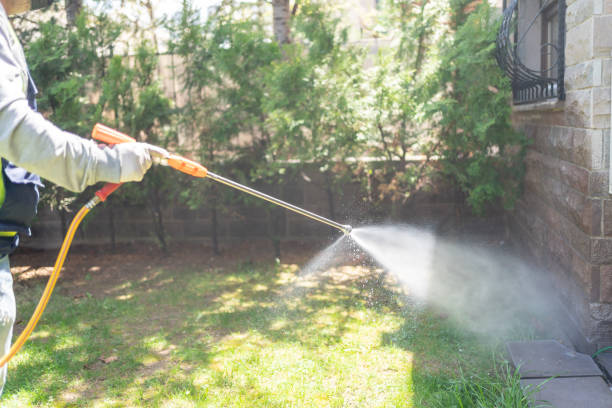 Best Wildlife Control Services  in Rouse, CA