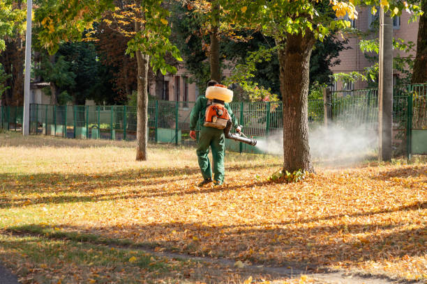 Best Pest Inspection Near Me  in Rouse, CA