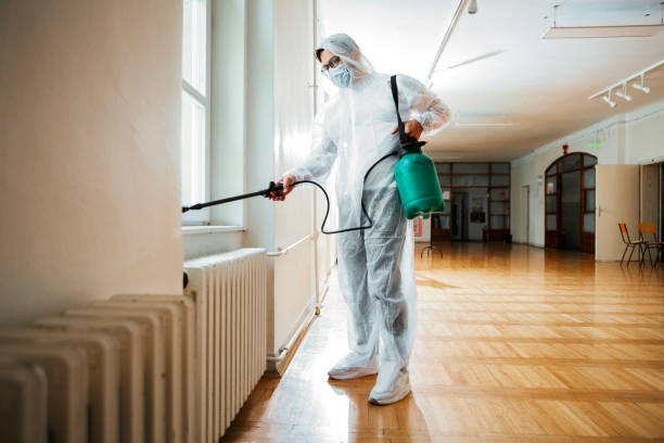 Best Bed Bug Extermination  in Rouse, CA