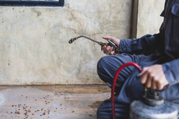 Professional Pest Control in Rouse, CA