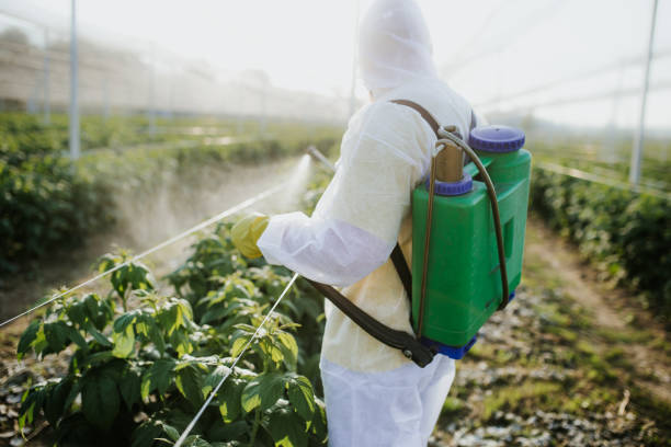 Best Emergency Pest Control  in Rouse, CA
